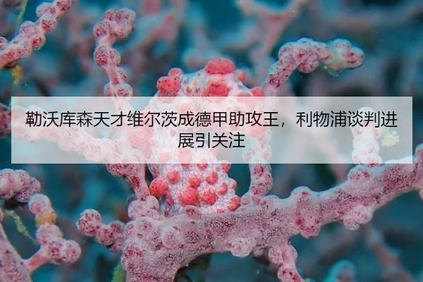 lei-wo-ku-sen-tian-cai-wei-er-ci-cheng-de-jia-zhu-gong-wang-li-wu-pu-tan-pan-jin-zhan-yin-guan-zhu-3-439.jpg